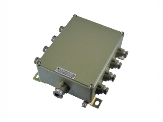 Well-designed Explosion Proof J Box - eJX series Explosion proof connection box – Feice detail pictures
